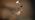 images available with this release